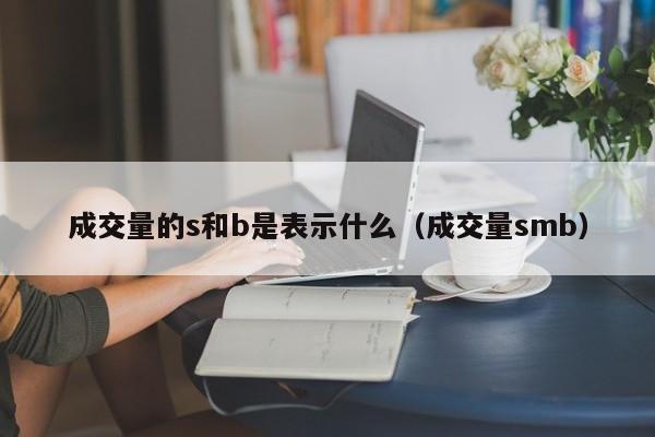 成交量的s和b是表示什么（成交量smb）