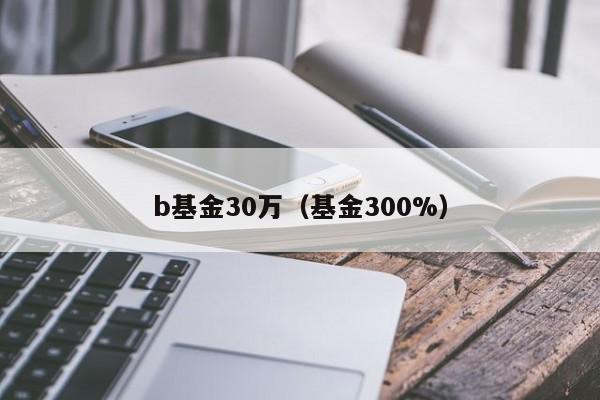 b基金30万（基金300%）