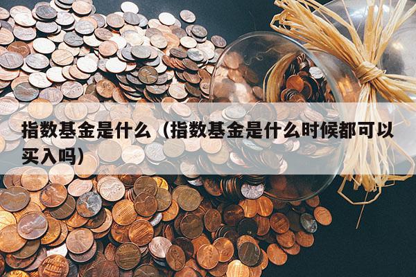 指数基金是什么（指数基金是什么时候都可以买入吗）