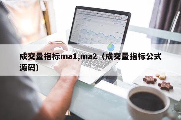 成交量指标ma1,ma2（成交量指标公式源码）