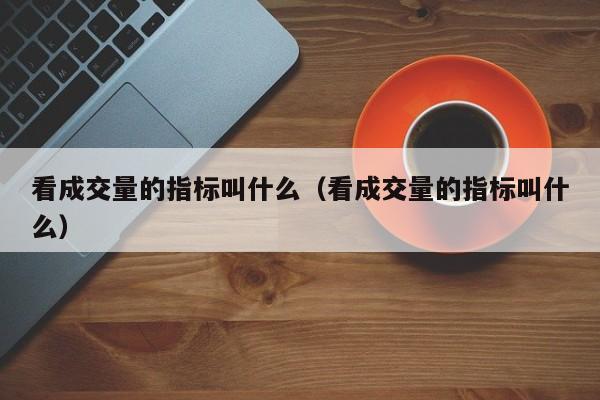 看成交量的指标叫什么（看成交量的指标叫什么）