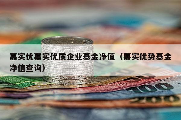 嘉实优嘉实优质企业基金净值（嘉实优势基金净值查询）