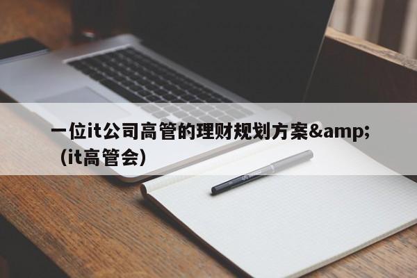 一位it公司高管的理财规划方案&amp;（it高管会）