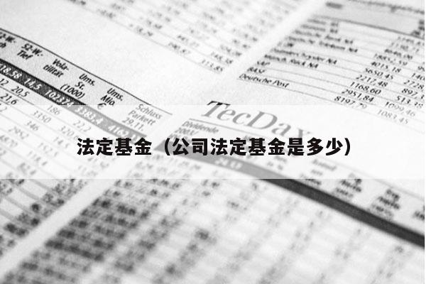 法定基金（公司法定基金是多少）