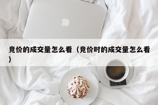 竞价的成交量怎么看（竞价时的成交量怎么看）