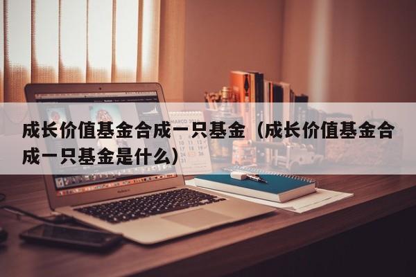 成长价值基金合成一只基金（成长价值基金合成一只基金是什么）