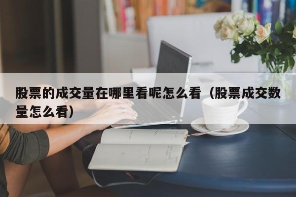 股票的成交量在哪里看呢怎么看（股票成交数量怎么看）