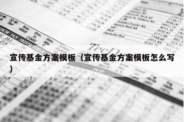 宣传基金方案模板（宣传基金方案模板怎么写）