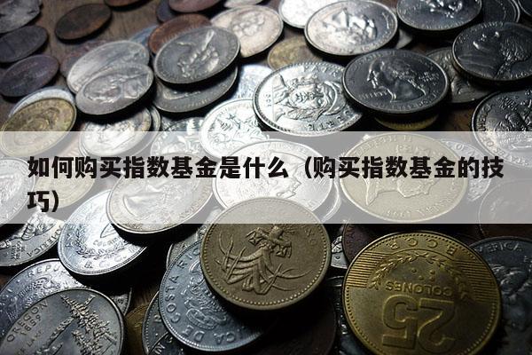 如何购买指数基金是什么（购买指数基金的技巧）