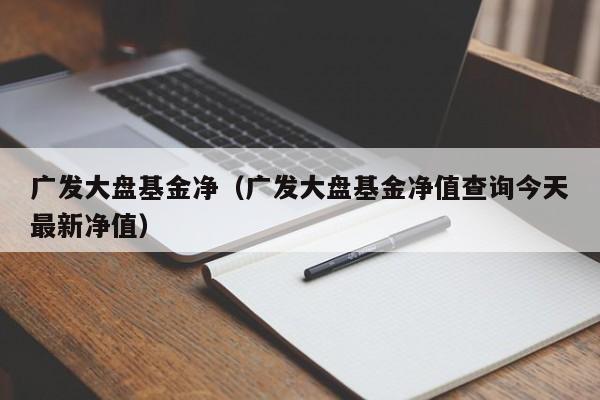 广发大盘基金净（广发大盘基金净值查询今天最新净值）