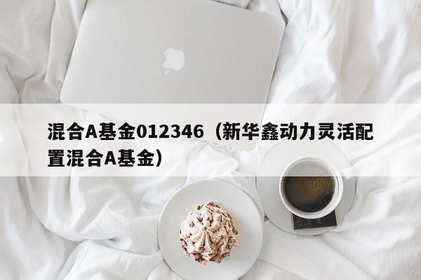 混合A基金012346（新华鑫动力灵活配置混合A基金）