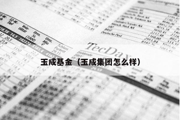 玉成基金（玉成集团怎么样）