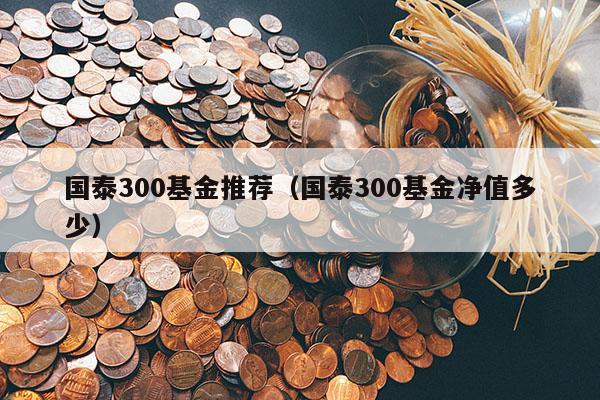 国泰300基金推荐（国泰300基金净值多少）