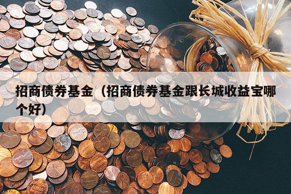 招商债券基金（招商债券基金跟长城收益宝哪个好）