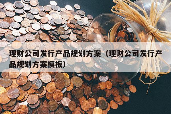 理财公司发行产品规划方案（理财公司发行产品规划方案模板）