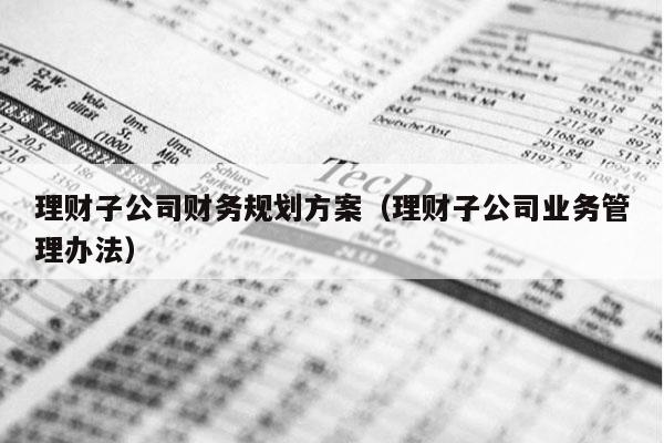 理财子公司财务规划方案（理财子公司业务管理办法）