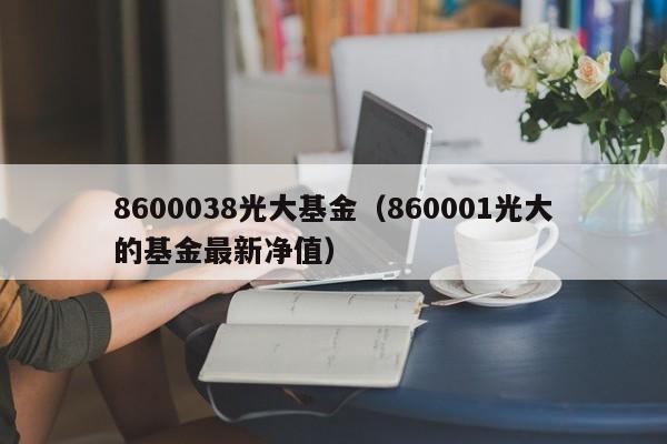 8600038光大基金（860001光大的基金最新净值）