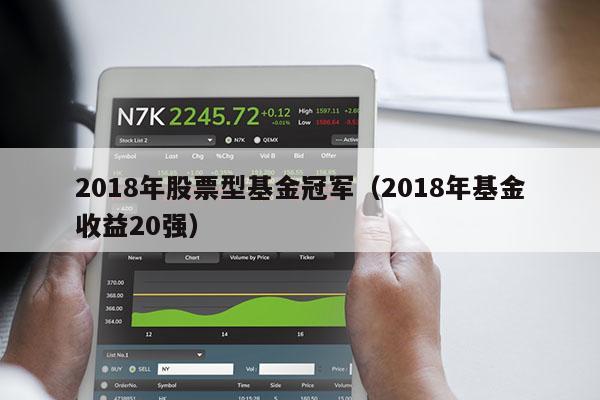 2018年股票型基金冠军（2018年基金收益20强）