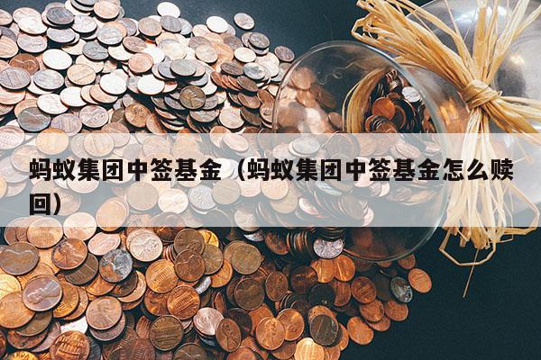 蚂蚁集团中签基金（蚂蚁集团中签基金怎么赎回）