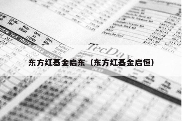 东方红基金启东（东方红基金启恒）