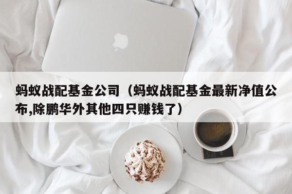 蚂蚁战配基金公司（蚂蚁战配基金最新净值公布,除鹏华外其他四只赚钱了）