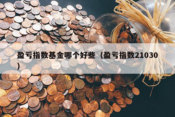 盈亏指数基金哪个好些（盈亏指数21030）