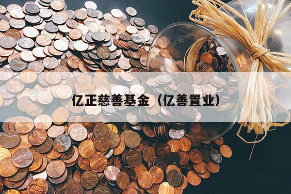 亿正慈善基金（亿善置业）