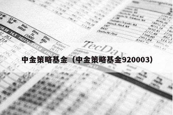 中金策略基金（中金策略基金920003）