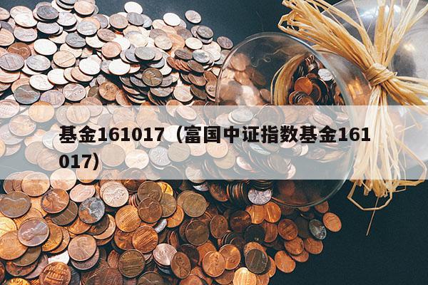 基金161017（富国中证指数基金161017）