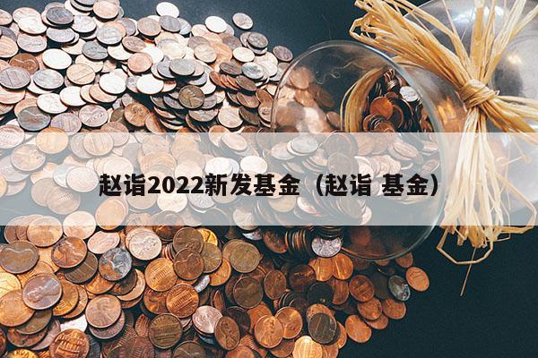 赵诣2022新发基金（赵诣 基金）