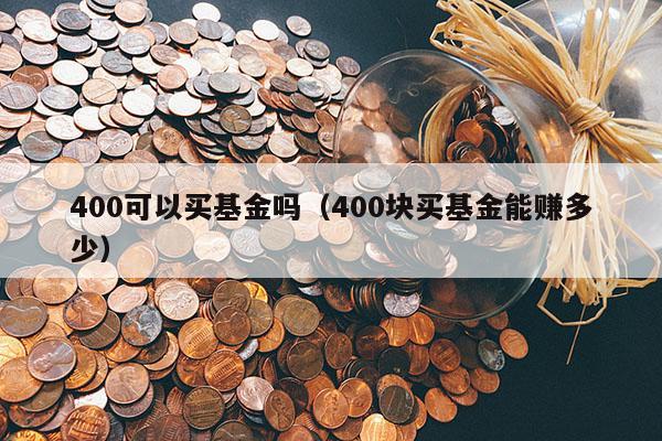 400可以买基金吗（400块买基金能赚多少）