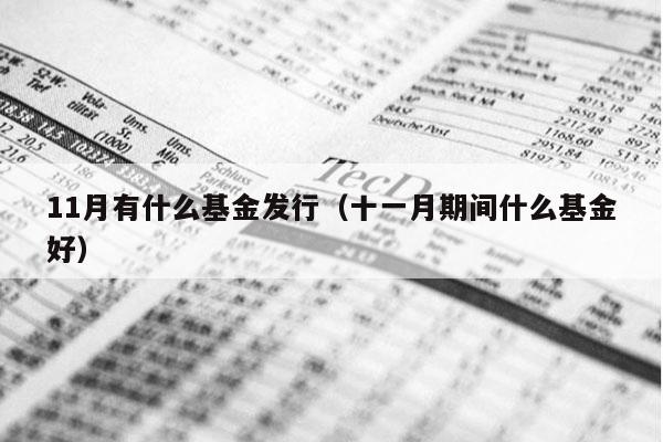 11月有什么基金发行（十一月期间什么基金好）