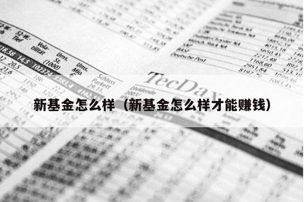 新基金怎么样（新基金怎么样才能赚钱）