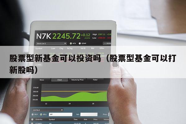 股票型新基金可以投资吗（股票型基金可以打新股吗）