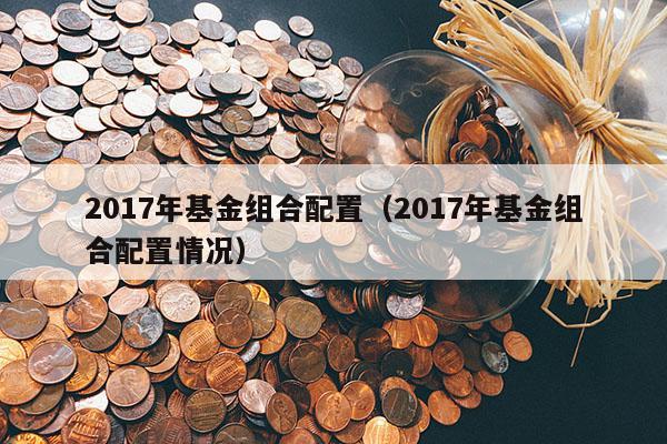 2017年基金组合配置（2017年基金组合配置情况）