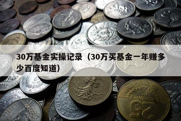 30万基金实操记录（30万买基金一年赚多少百度知道）