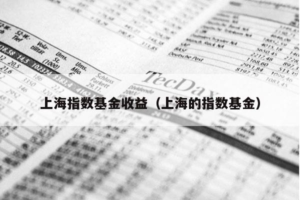 上海指数基金收益（上海的指数基金）