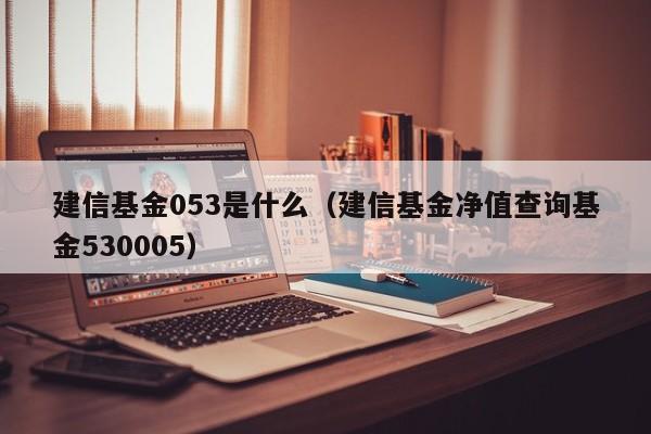 建信基金053是什么（建信基金净值查询基金530005）