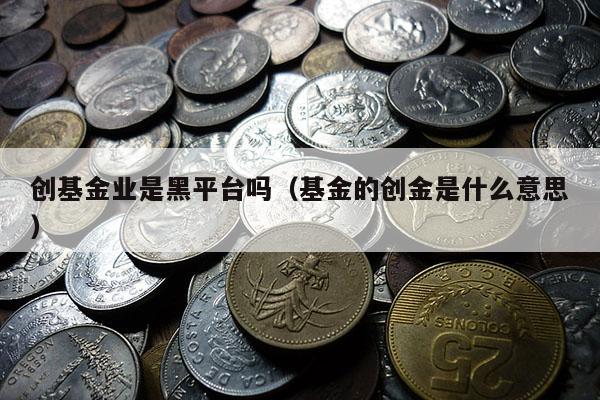 创基金业是黑平台吗（基金的创金是什么意思）