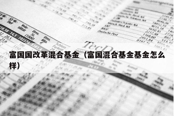 富国国改革混合基金（富国混合基金基金怎么样）