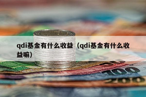 qdi基金有什么收益（qdi基金有什么收益嘛）