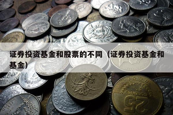 证券投资基金和股票的不同（证券投资基金和基金）