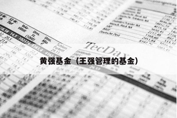 黄强基金（王强管理的基金）