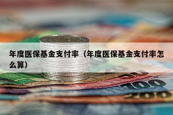 年度医保基金支付率（年度医保基金支付率怎么算）