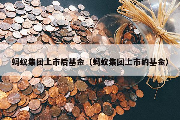 蚂蚁集团上市后基金（蚂蚁集团上市的基金）