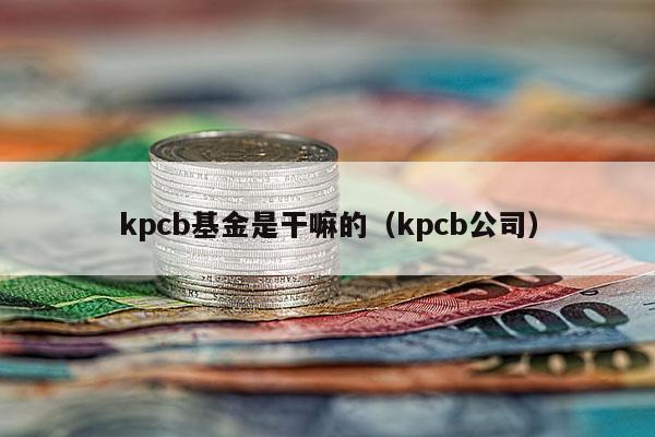 kpcb基金是干嘛的（kpcb公司）