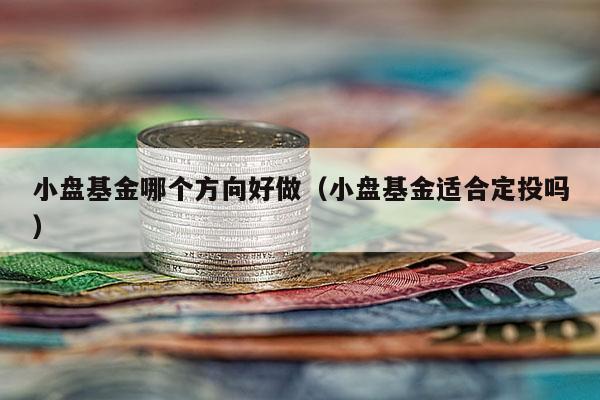 小盘基金哪个方向好做（小盘基金适合定投吗）