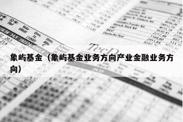 象屿基金（象屿基金业务方向产业金融业务方向）