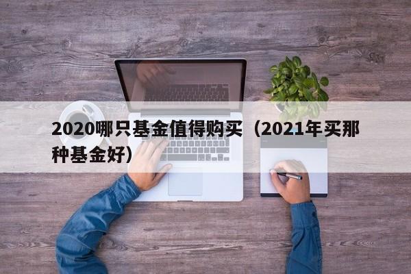 2020哪只基金值得购买（2021年买那种基金好）