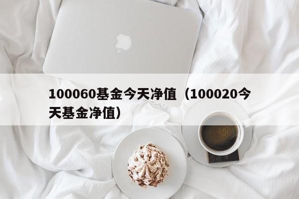 100060基金今天净值（100020今天基金净值）